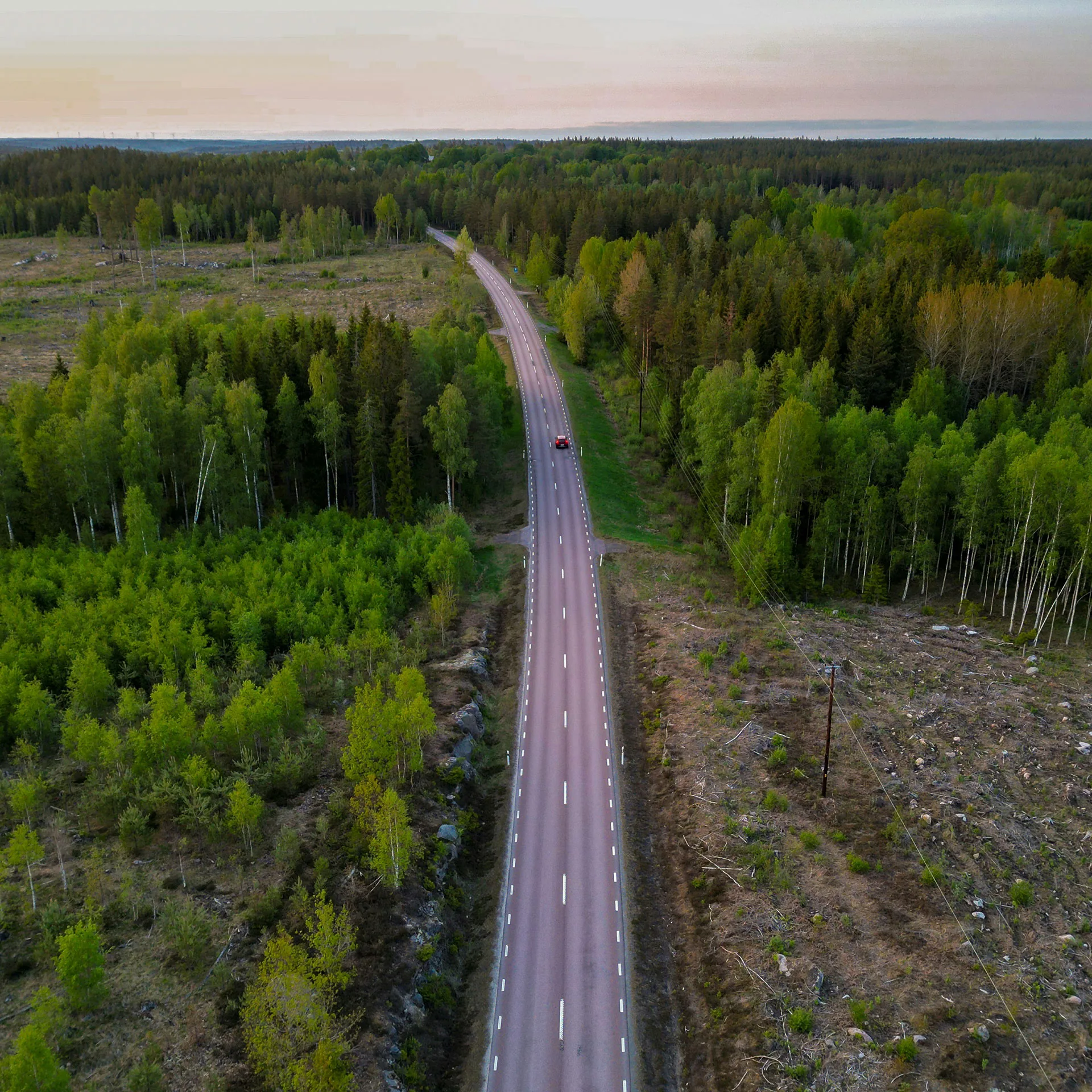 Miljöbild på väg i skogslandskap